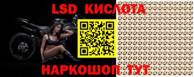 наркотики Новодвинск