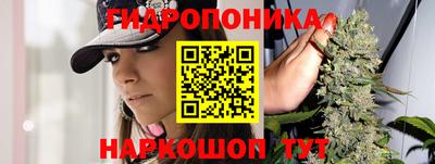 наркотики Новодвинск